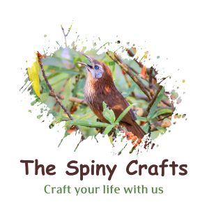 CwUSyuaHgFWf-The-spiny-crafts-logo-H