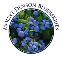 mtdenson